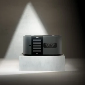 Delta Mono Power Amplifier